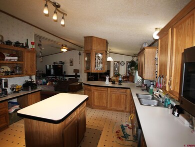 1130 Denver Ave, Saguache, CO 81149 - photo 7