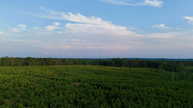 Kennedy Rd, Winnsboro, SC 29180 - photo 3