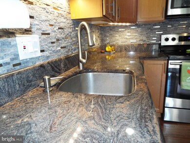 10909 Trotting Ridge Way, Columbia, MD 21044 - photo 3