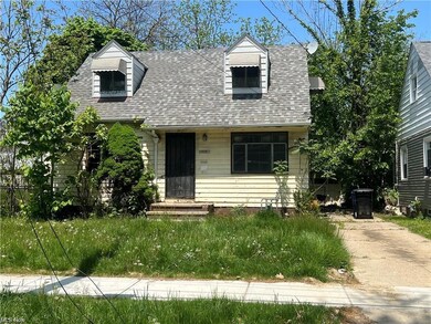 14205 Sylvia Ave, Cleveland, OH 44110 - photo 2