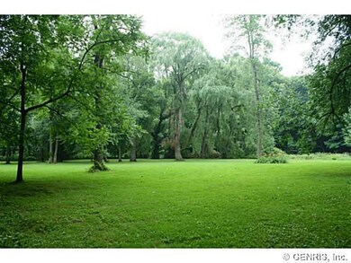 Backyard Creek side grounds