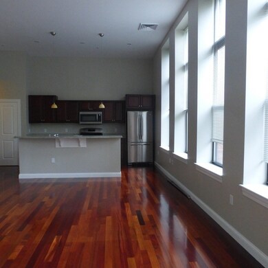 20 Mcternan St unit 201, Cambridge, MA 02139 - photo 3