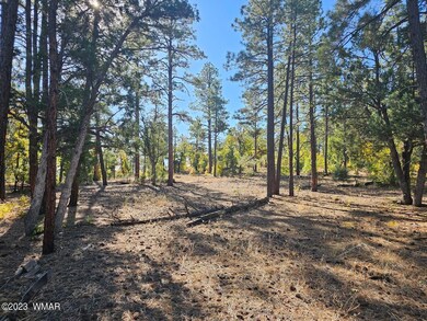 3251 W Sage Lane, Show Low, AZ 85901