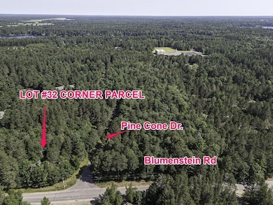 Lot 32 Pinecone Dr, Woodruff, WI 54568 - photo 2