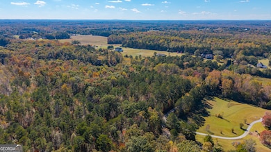 0 Roy Morgan Rd unit 17.44 ACRES, Carrollton, GA 30116 - photo 4
