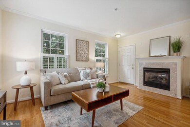 715A Massey Ln unit A, Alexandria, VA 22314 - photo 7