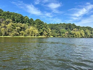 Lot 111 Oak River, Frankston, TX 75763 - photo 2