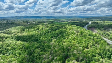 0 Stonehenge Pkwy unit 25-1043, Lewisburg, WV 24901 - photo 3