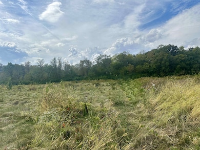 5048 Smokethorn Trail, Belvidere, IL 61008 - photo 5