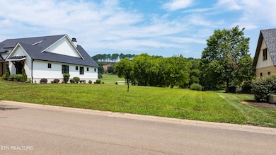 595 Bobcat Run Dr, Loudon, TN 37774 - photo 4