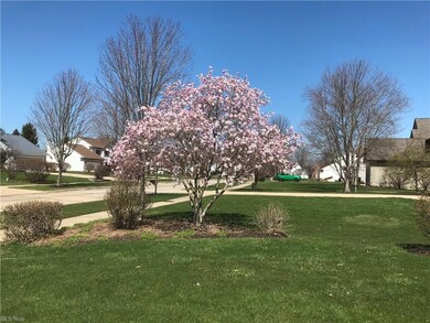 8707 Forest View Dr, Olmsted Falls, OH 44138 - photo 5