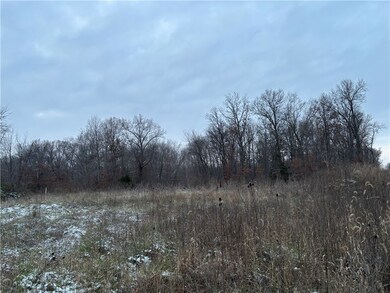 0 Kings Hill Rd, Sumner, IL 62466 - photo 6