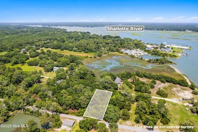 10-web-or-mls-CAMMediaLLC.com 1705-20
