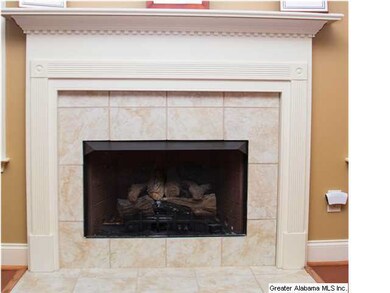 Remote controlled gas Fireplace