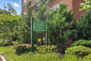 Larchmont Palmer unit 225, Larchmont, NY 10538 - photo 2