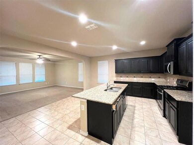 321 Lemon Mint Ln, Denton, TX 76210 - photo 3