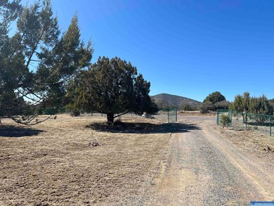 25 Antelope Run unit 1, Silver City, NM 88061 - photo 3