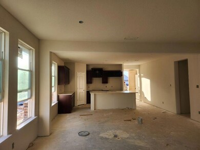 816 Taliaferro Trail, Springtown, TX 76082 - photo 4