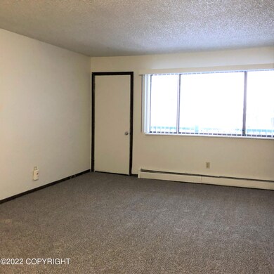 3400 Eureka St unit 314, Anchorage, AK 99503 - photo 2