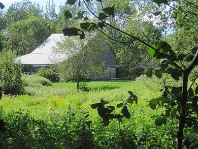 Yard/Garden.