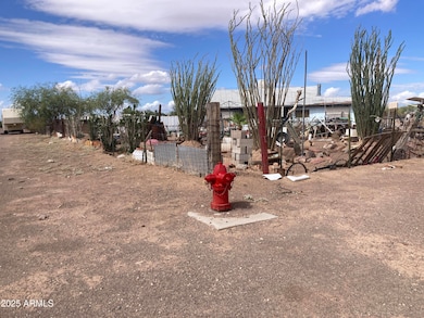 141 W Longacre Rd, Why, AZ 85321 - photo 4