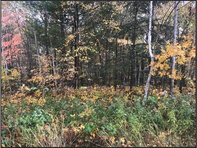 Lot 113 162nd Ave, Apple River Township, WI 54810 - photo 2