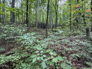 6acres Trentham Rd, Newport, TN 37821 - photo 7