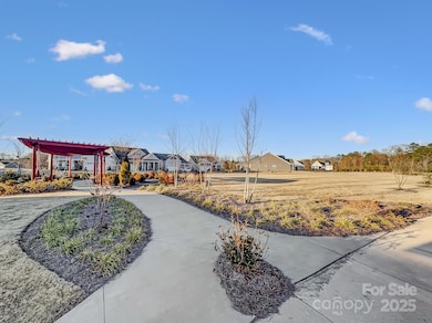 267 Portrait Way, Indian Trail, NC 28079 - photo 3