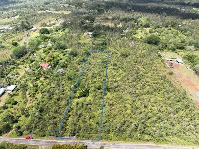 0 36th Ave unit 723518, Keaau, HI 96749 - photo 2