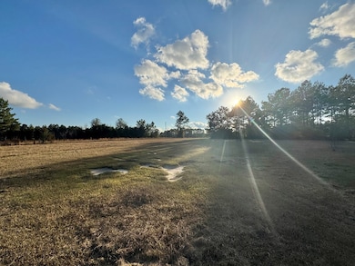 14014 Lott McCarty Rd, Picayune, MS 39466 - photo 5