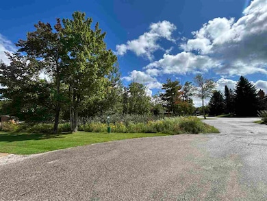 6500 Schuss Mountain Ln unit 112, Mancelona, MI 49659 - photo 4