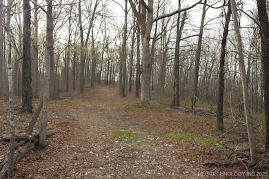 65300 Blackhawk Ridge Rd, Proctor, OK 74464 - photo 6