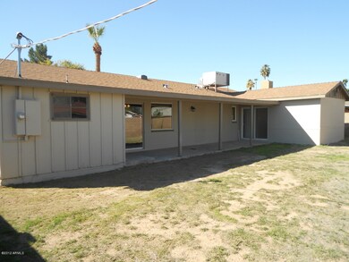 patio 2