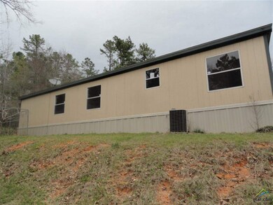 10304 County Road 21, Tyler, TX 75707 - photo 4