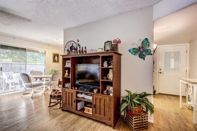 Teakwood - 9804 (19)