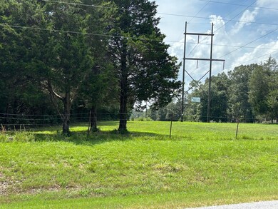 0 Ar Hwy 58 Hwy unit 25-435, Williford, AR 72482 - photo 4