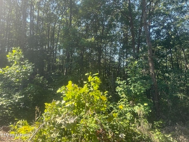 0 Renegade Mountain Pkwy unit 1305164, Crab Orchard, TN 37723 - photo 3