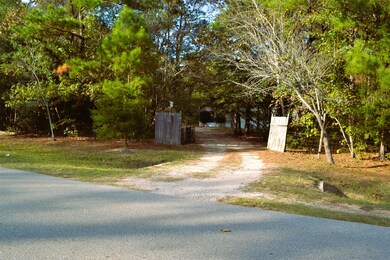 24854 Shady Oaks Blvd, Montgomery, TX 77316 - photo 4