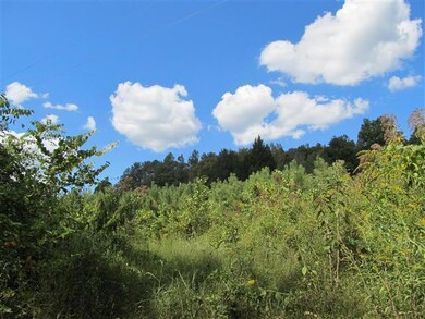 5 Les Ferrell Rd, Stewart, TN 37175 - photo 4