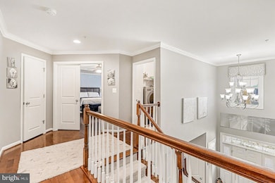 13773 Night Sky Dr, Silver Spring, MD 20906 - photo 6