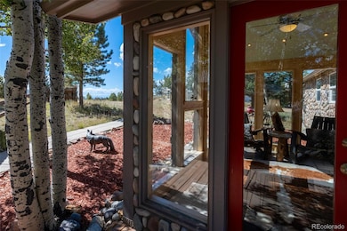 1625 N Mountain Estates Rd, Florissant, CO 80816 - photo 7