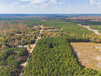 336 Grant County 676, Grapevine, AR 72057 - photo 2