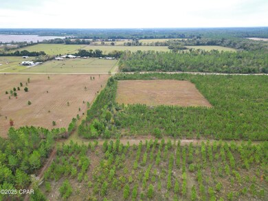 00 Glenmore Ct, Marianna, FL 32446 - photo 7