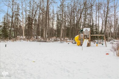 Back Yard_DMD_7143