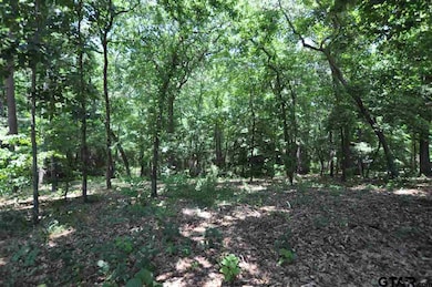 4005 Stonegate Blvd, Tyler, TX 75703 - photo 3