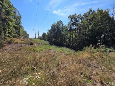 19867 Highway C, Unincorporated, MO 63775 - photo 2