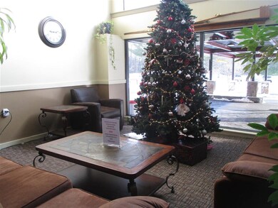 23 Black Bear Way unit 317, Waterville Valley, NH 03215 - photo 5