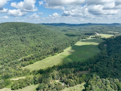 Tbd Hwy 16 unit LotWP001, Saint Paul, AR 72760 - photo 5