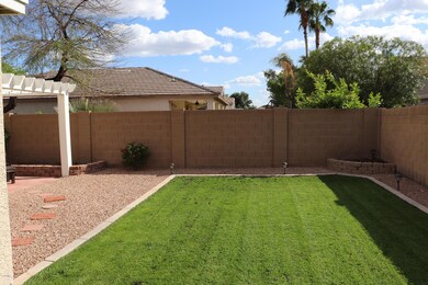 Back yard 1
