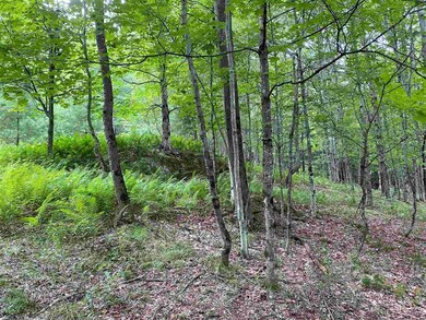 Lot 3 Tac Heights, Moretown, VT 05660 - photo 4